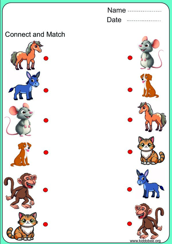 Connect and Match: Animal and Object Reasoning Workbook