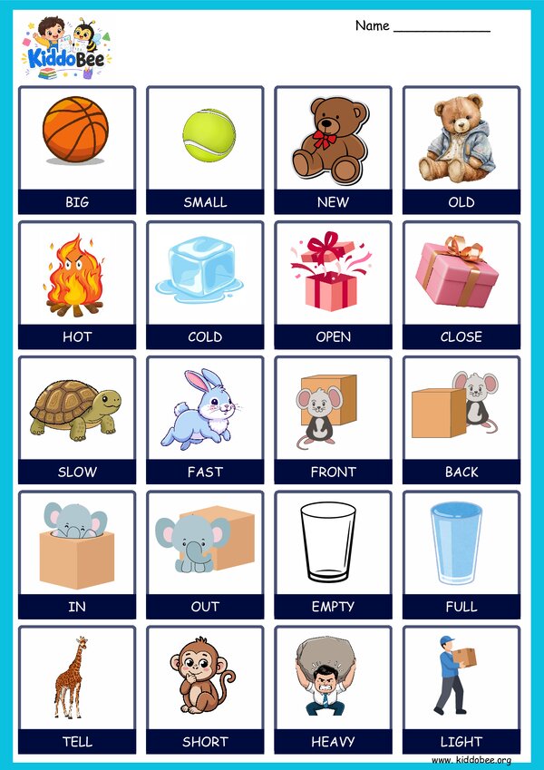 Opposites Learning & Activity